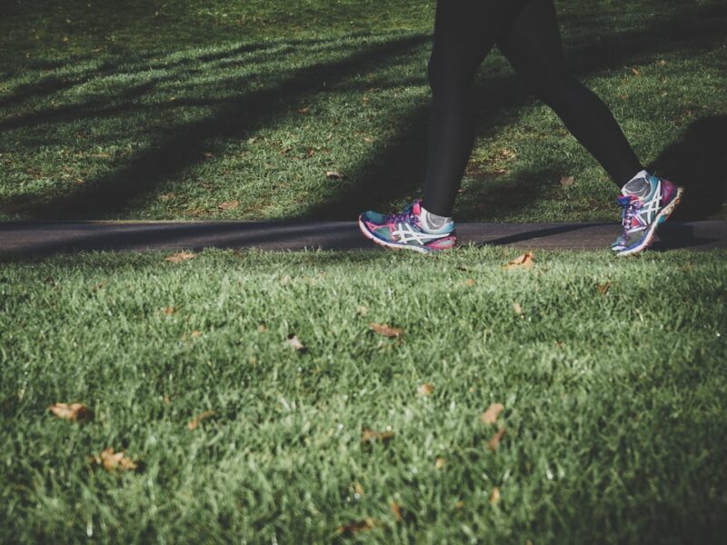 Ultimate Guide to Sports Nutrition for Peak Performance